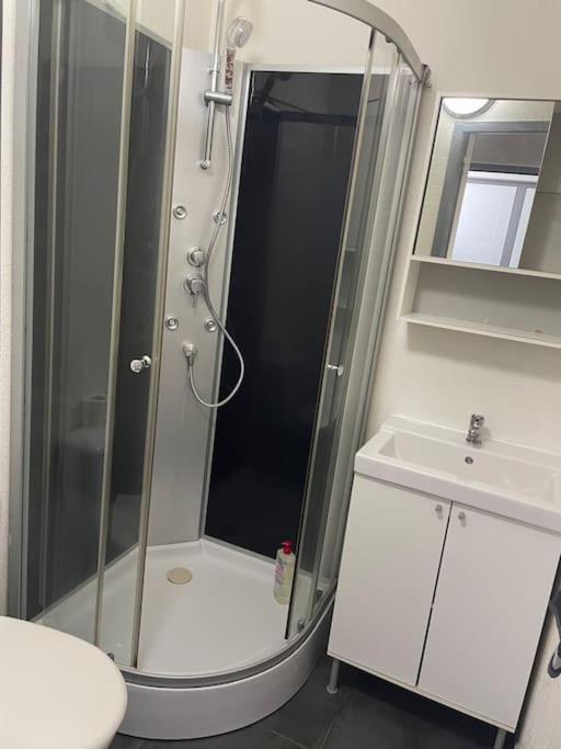 Studio8 Proche Fac Climatise Apartment *